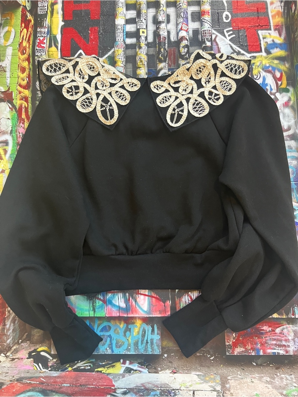 Miss Selfridge Adorable Black Cropped Sweatshirt with Cream Lace Collar - Picture 4 of 11